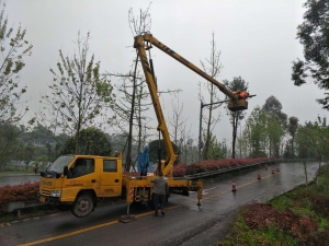 重庆专业高空车