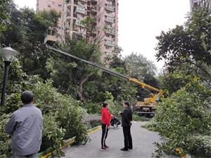 重庆渝北高空车出租